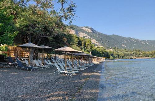 Thalantheia House - Photo 32