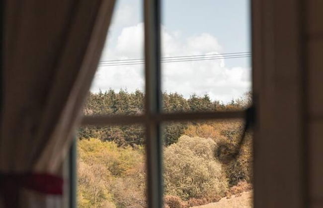 Dog Friendly Shepherd's Hut, Perfect for Couples - Photo 27