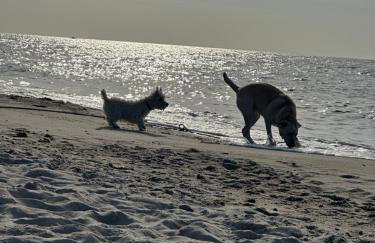 Morski Las - Foto 77