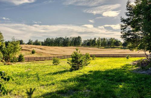 Bory Za Płotem - Foto 23