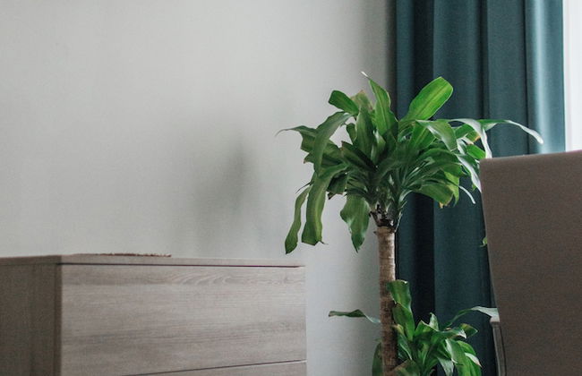 Harmonia Palace - Luxury Apartments - Foto 35