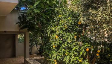 Lagada-Chios - Foto 2