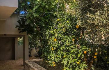 Lagada-Chios - Foto 2