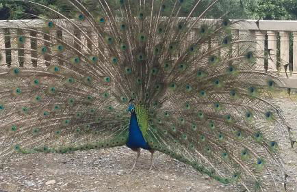 Cà Nastrè - Foto 22