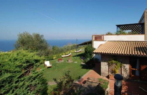 La Violetta - Photo 28