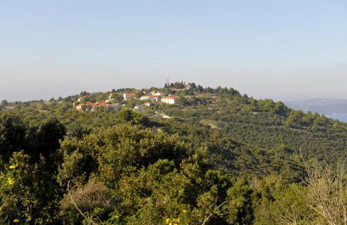 The House Aunt Regina - Foto 64