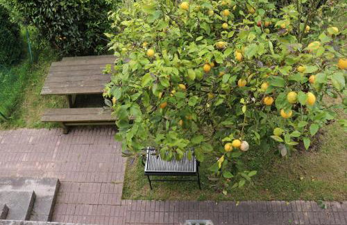 Chalet céntrico costero en Gijón - Foto 28