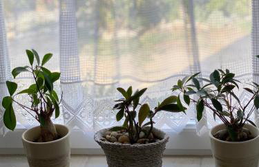 Apartments Marina - Foto 11