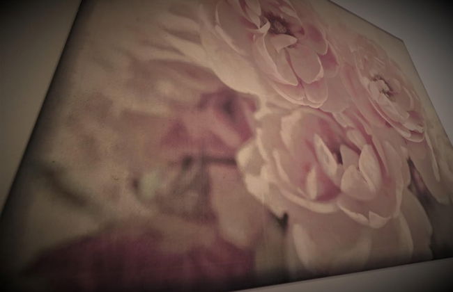 Culzean House - Carfin - Photo 43