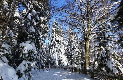 Cozy Holiday Home in Loßburg near Ski Area - Photo 55