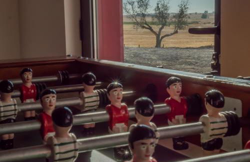 Fontes Bárbaras Enoturismo - Foto 9