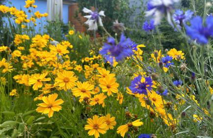 Apartment im Elbtal Dresden, Meißen, Moritzburg - Foto 22