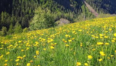 Maison Neige Et Soleil - Foto 3