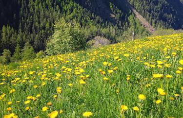 Maison Neige Et Soleil - Foto 3