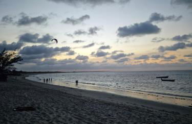 BobZ Concept - Photo 40