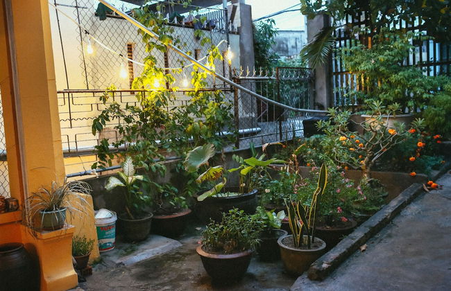 Herb's House - Photo 10