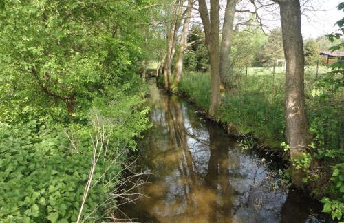 Ośrodek Wypoczynkowy Jaszczurka - Foto 78