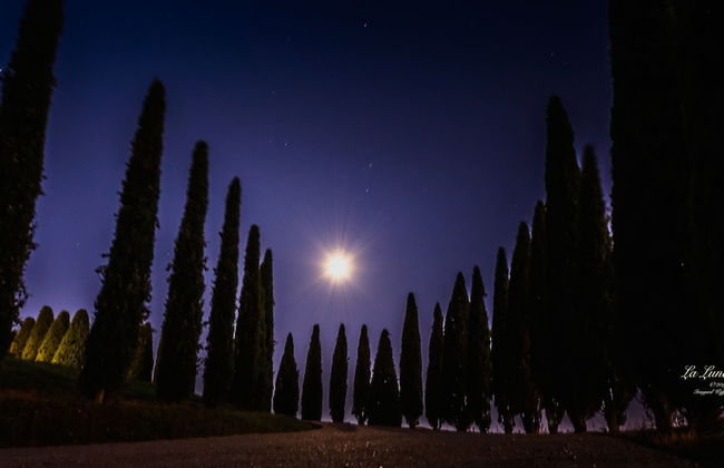 Agriturismo Bonello - Photo 78