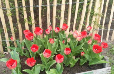 Ferienwohnung Storchennest - Foto 36