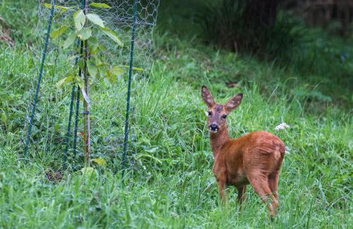 Caserío Ea - Foto 8