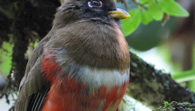 We'll enjoy numerous species of birds