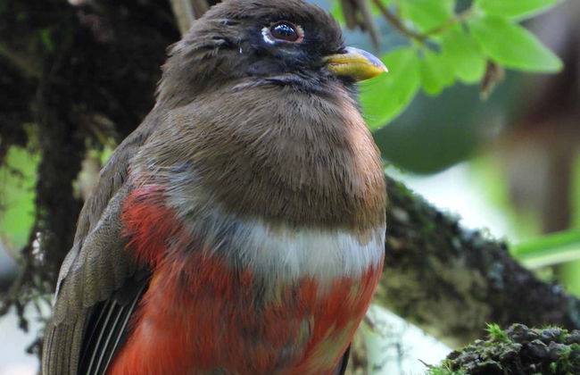 Bird-Watching at Barbas Bremen - Photo 5