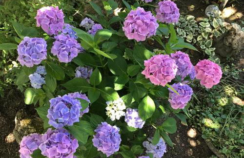 La Tour Des Quatre Chemins - Foto 23