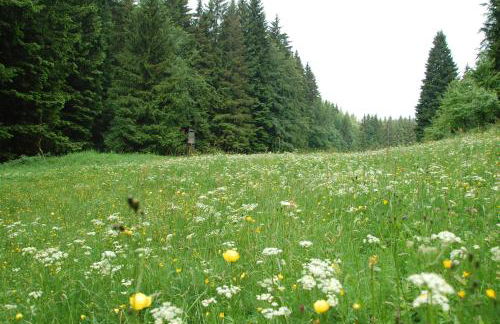 Ferienwohnung Reifberg - Photo 30