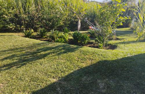 Levada Nova House - Foto 69