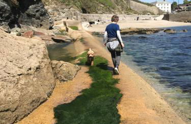 Starfish Cottage- private beach access- dog friendly - Foto 18