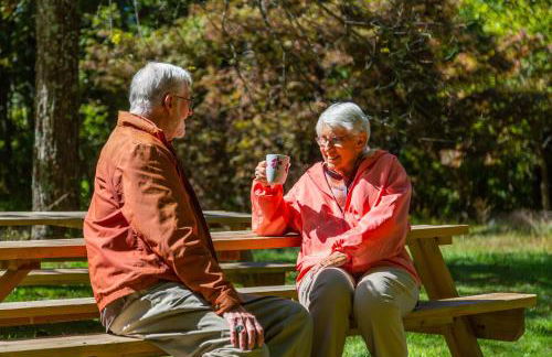 Love Ridge Mountain Lodging - Foto 28