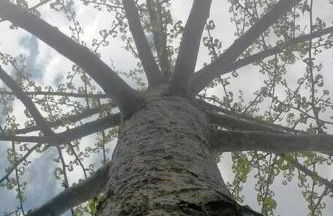 All Season Holiday Seashore Getaway! - Foto 3