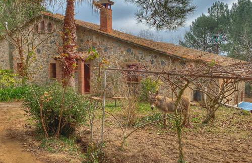 Masía Can Janet alojamiento rural con piscina privada en plena naturaleza - Foto 37