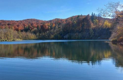 Apartment Andrea - Foto 43