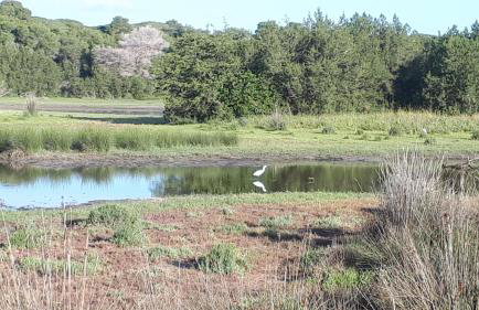 PETROS ROOMS to LET KALOGRIA BEACH - Foto 11