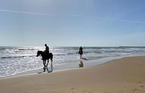 La Casa In Riva Al Mare - Foto 21