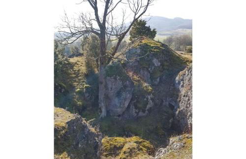 Lovely Apartment in Hesse - Foto 54