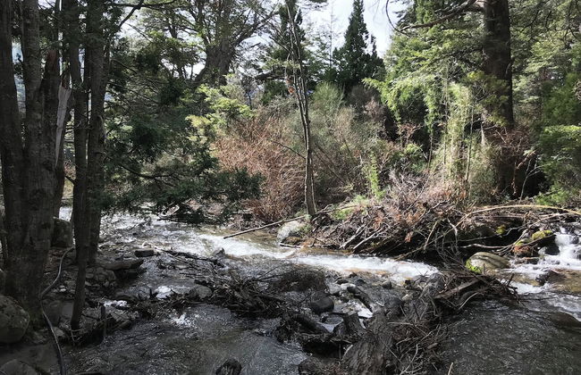 Amazing 5 Bedrooms Chalet in Villa Traful VT1 by Apartments Bariloche - Foto 62