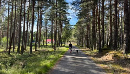 Cosy Highland Cottage in the Woods on Royal Deeside - Foto 2