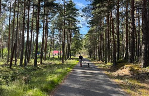 Cosy Highland Cottage in the Woods on Royal Deeside - Foto 3