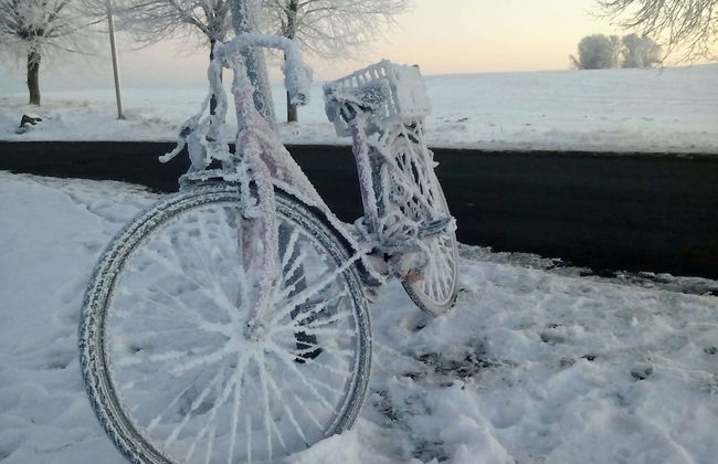 Ferienwohnung am Meer in Rerik - Foto 36