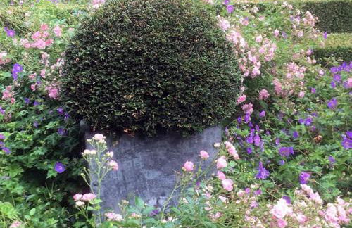 Highfield Lodge - Photo 34