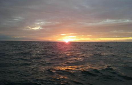 Studio Castel Binic - Foto 23