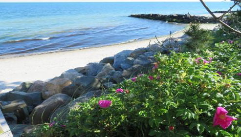 25 Grey Neck Road West Harwich Cape Cod - - Crosswinds II - Foto 4