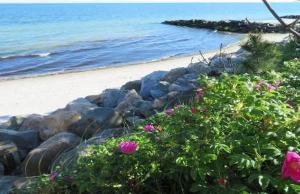 25 Grey Neck Road West Harwich Cape Cod - - Crosswinds II - Foto 4