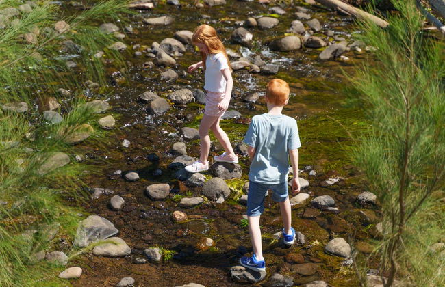 Escursione a Lamington e alla Canungra Valley - Foto 6