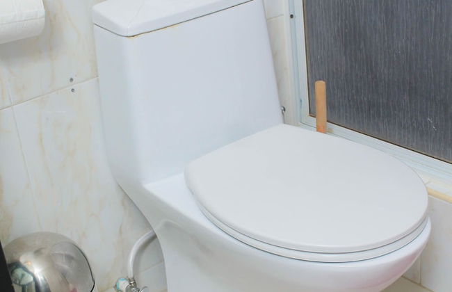 Marley Manor - Foto 18