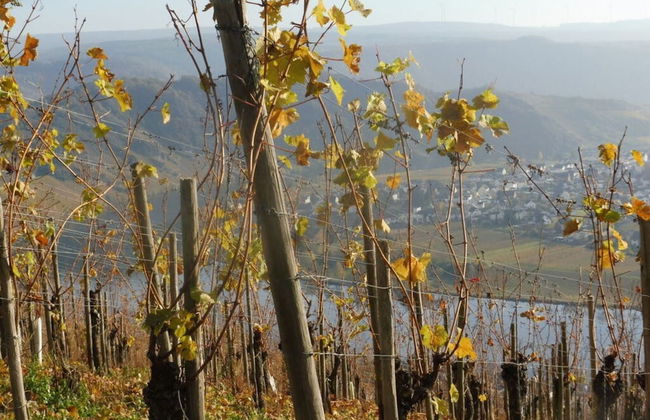 Voor 8 tot 12 Personen - Photo 14