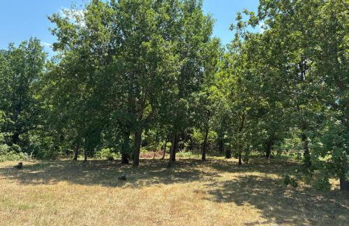 Vacation home with pool - Foto 20