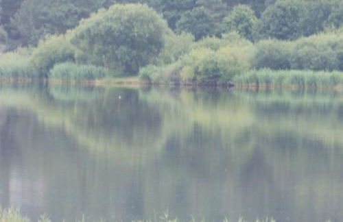 Holiday Home Elbufer 4B by Interhome - Foto 9